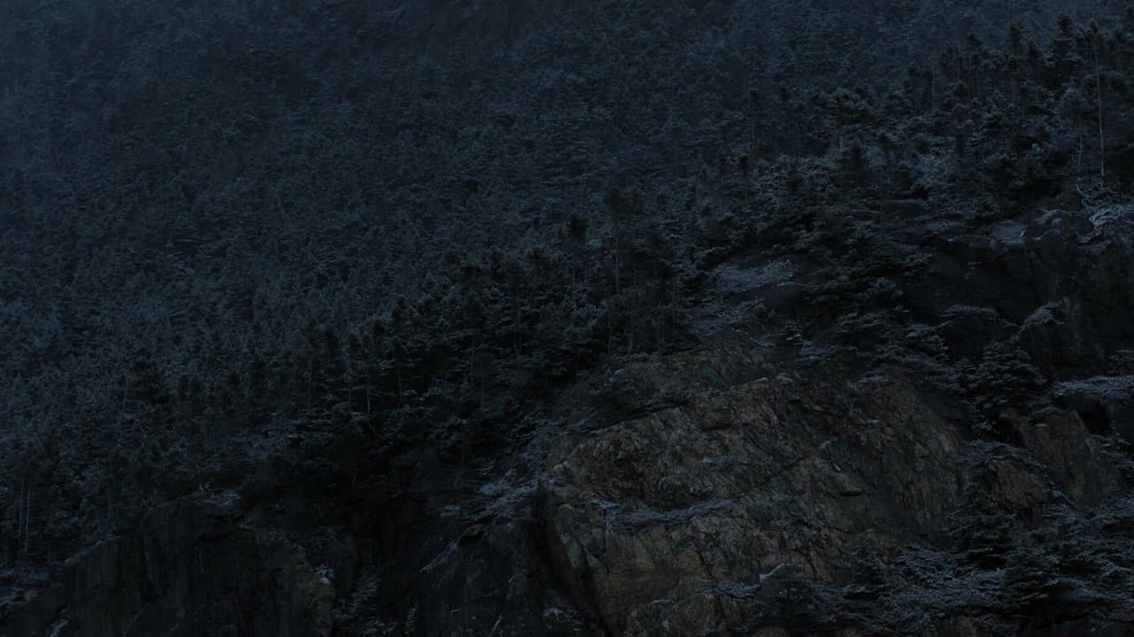 I Don't Want to Forget