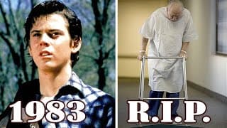 See What the Cast of ‘The Outsiders’ 1983 Looks Like 40 Years Later!