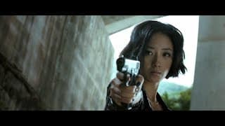 The Stool Pigeon (2010) - Hong Kong Movie Review