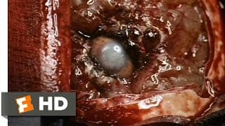 The Dark Half (1/11) Movie CLIP - Startling Discovery (1993) HD