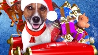 UP ON THE WOOFTOP Trailer (Family Film - Movie HD)