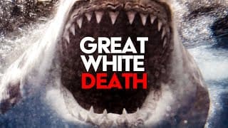 Great White Death (1981) | Mondo Style Doc On King Of Sharks