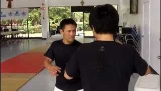 Ninja Monkeys training with Darin Fujimori/ Kevin Won and Leon Sheen