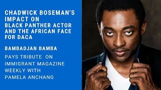 Chadwick Boseman's Impact On Black Panther Actor And The African Face For DACA , Bambadjan Bamba