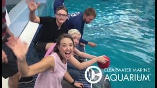 Lip Sync Battle with Dolphin Tale Stars - Cozi Zuehlsdorff, Nathan Gamble & Austin Highsmith