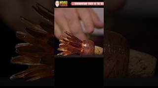 Screw You, Guys. I'm Going Home - Thomas Schnauz | Better Call Saul Commentary Ep201 - Switch