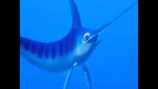 Disney Pixar Finding Nemo (2003) voice Alec Medlock as Sword Fish