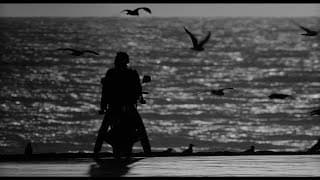 Stephen H. Burum Tribute