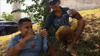 Oscar da prevenção 2017 EE Prof  David Golia