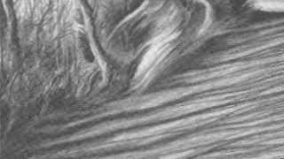 M. R. James - A Neighbour's Landmark (read by Michael Hordern)