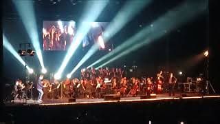 Chris Rankin (Percy Weasley) - The Magical Music of Harry Potter (Reims Arena - 20/11/2022)