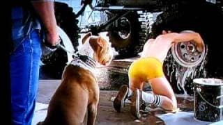 Jim Cody Williams - Dodgeball - The Movie