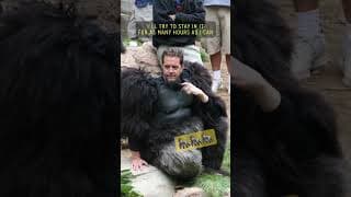 Hollywood’s monkey business from Tom Woodruff Jr., a professional gorilla. #actor #hollywood #shorts