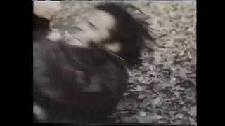 Peter Bogdanovich Recommends: Don Siegel