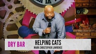 When the cats come to help.  Mark Christopher Lawrence