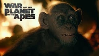 War for the Planet of the Apes | Meeting Bad Ape | 20th Century FOX