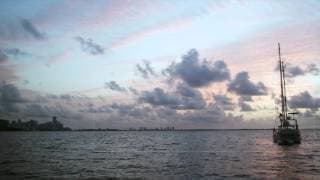 Discover the USA with Film Directors | Spike Lee & Andrew Davis