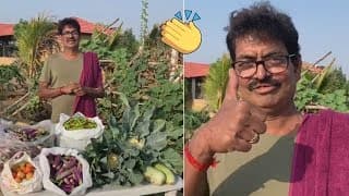 Actor Sivaji Raja #StayatHome Challenge to TFI Celebs | Daily Culture