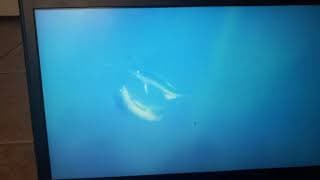 finding nemo 2003 voice actor  Alec medlock as sword fish and none as sword fish