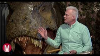 Neal Scanlan Feature - Creature and Special Makeup Supervisor