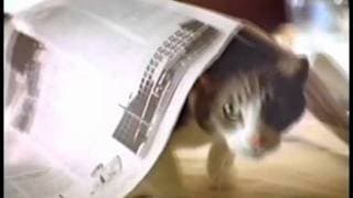 Colette Whitaker 2011 TV VO Demo