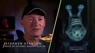 Stephen Stanton - Meebur Gascon Interview