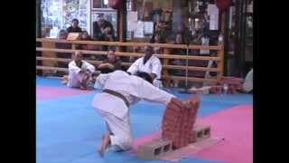 Some of Richard Alonzo's 4th Dan Black Belt Test Highlights