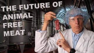 The Future of Lab Grown Meat and Vegan Protein with Paul Shapiro.