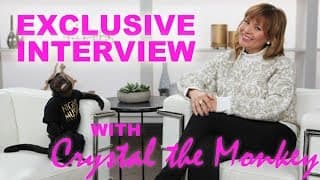 Top That! | Crystal the Monkey in an Exclusive Interview with Becca