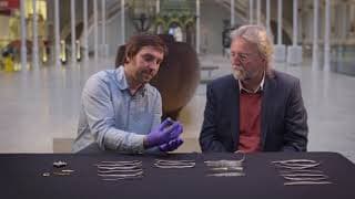 The Galloway Hoard: Dr Martin Goldberg in conversation with writer Michael Hirst