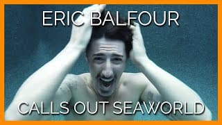 Eric Balfour Calls Out SeaWorld for Using Dolphins As Surfboards