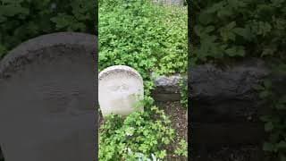 Grave of actor Malcolm Tierney.