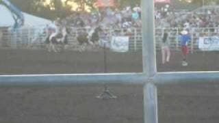 Sally Bishop-Trick Rider