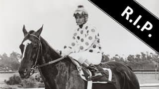 Jerry Lambert ● A Simple Tribute