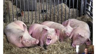 Utilitarianism & Its Critics:  JS Mill, Bernard Williams, & John Rawls